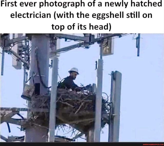 Posted media